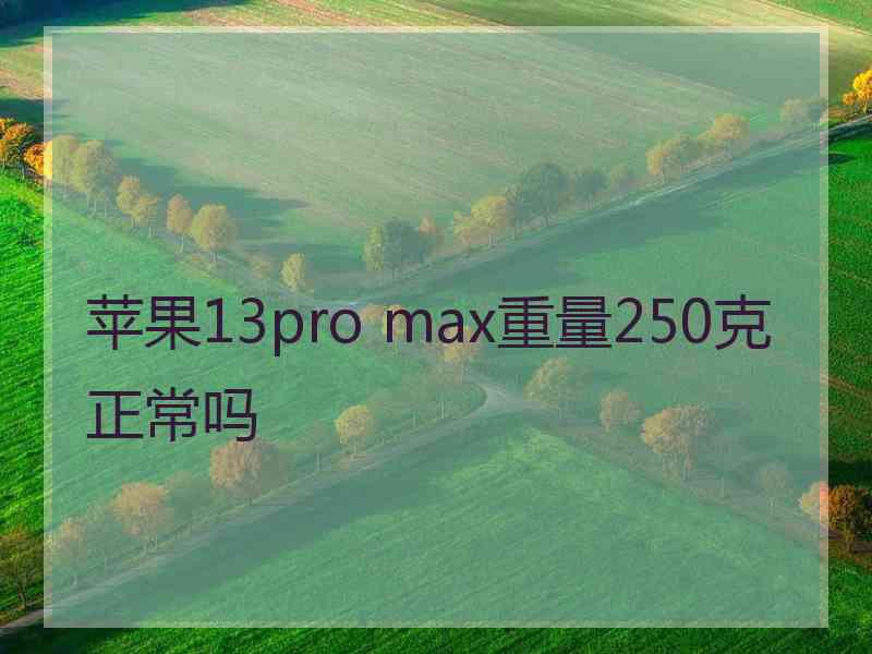 苹果13pro max重量250克正常吗