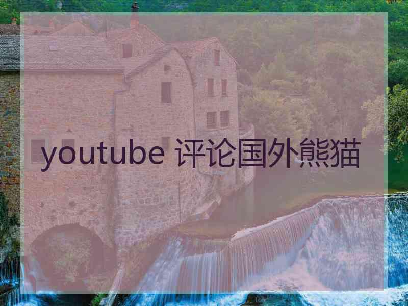 youtube 评论国外熊猫