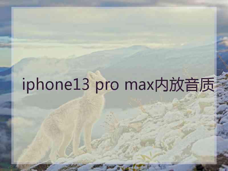 iphone13 pro max内放音质