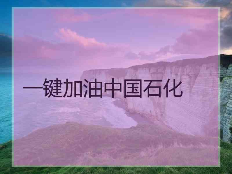 一键加油中国石化