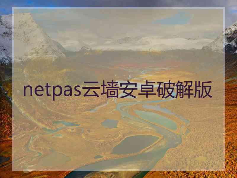 netpas云墙安卓破解版