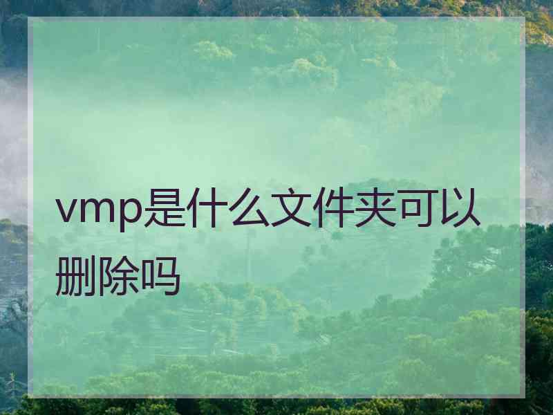 vmp是什么文件夹可以删除吗