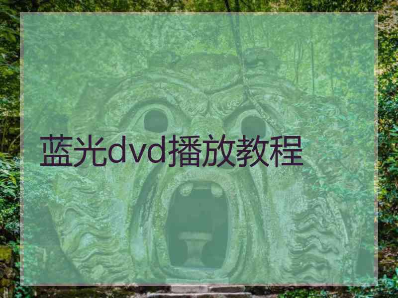 蓝光dvd播放教程