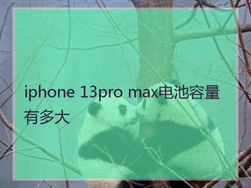 iphone 13pro max电池容量有多大