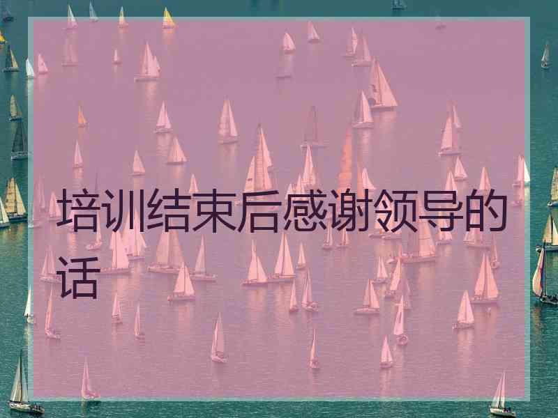 培训结束后感谢领导的话