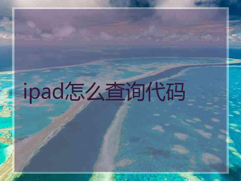 ipad怎么查询代码