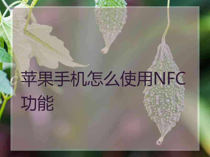 苹果手机怎么使用NFC功能