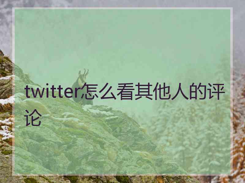 twitter怎么看其他人的评论