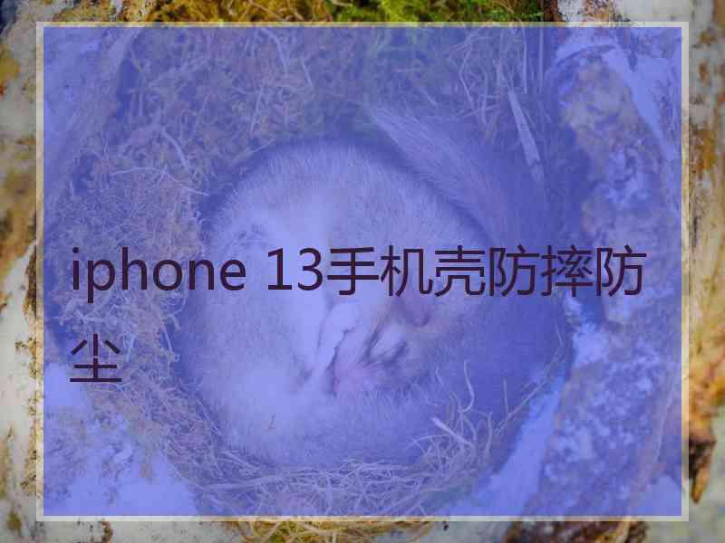 iphone 13手机壳防摔防尘