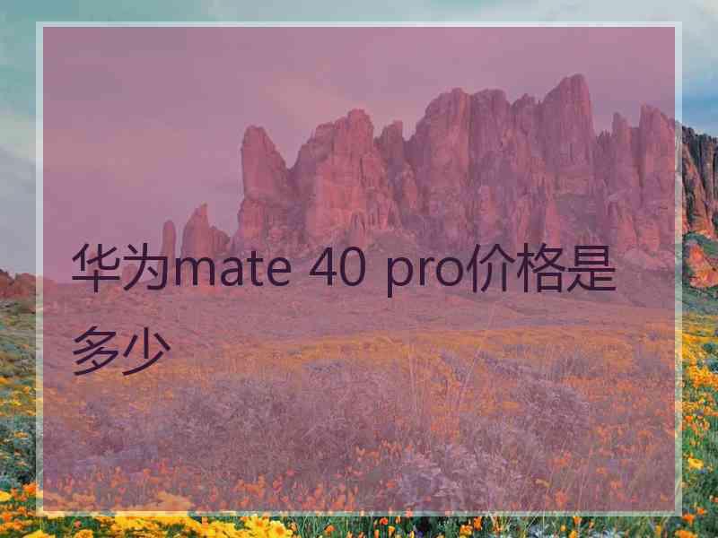 华为mate 40 pro价格是多少