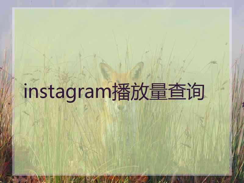 instagram播放量查询