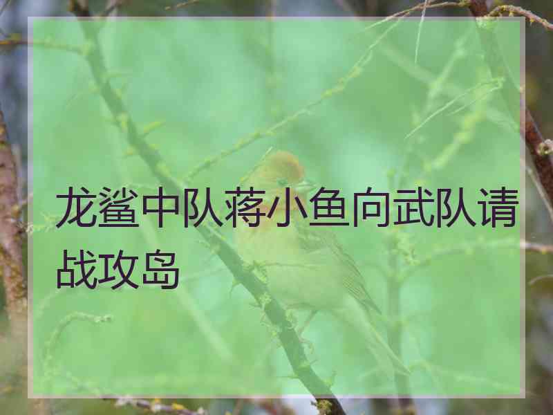 龙鲨中队蒋小鱼向武队请战攻岛