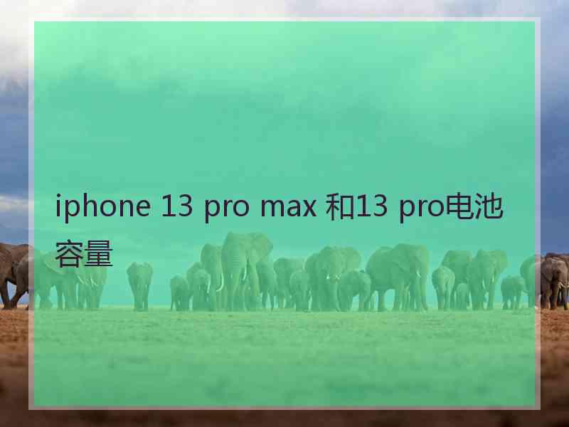 iphone 13 pro max 和13 pro电池容量