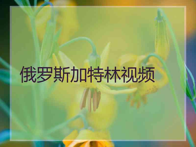 俄罗斯加特林视频