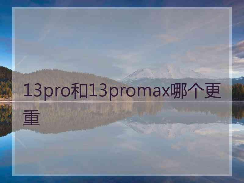 13pro和13promax哪个更重