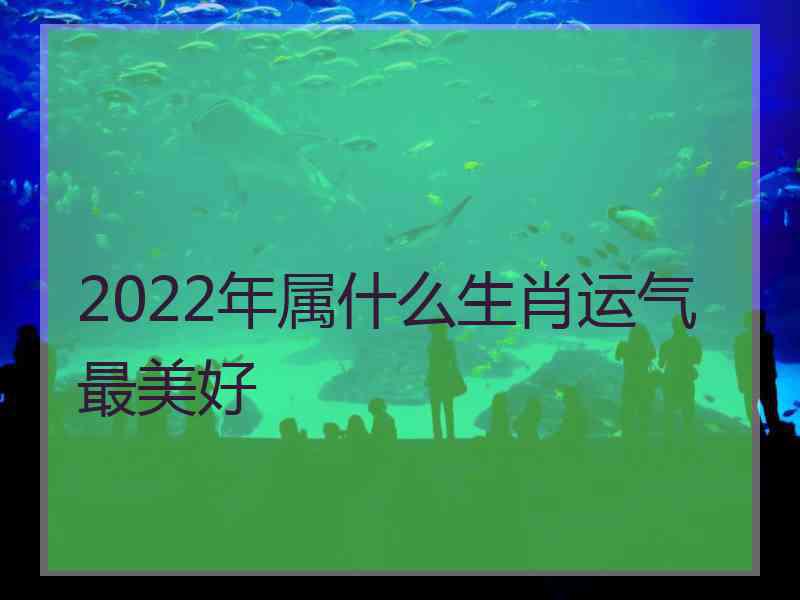 2022年属什么生肖运气最美好