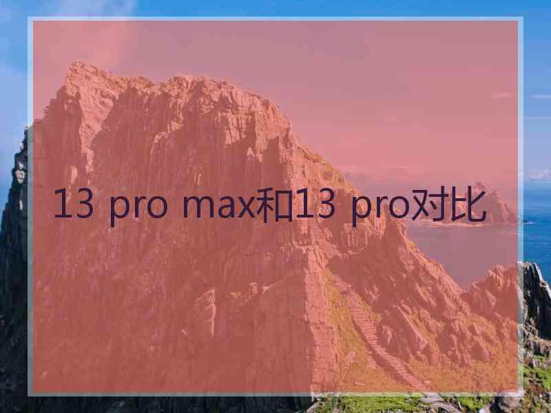 13 pro max和13 pro对比