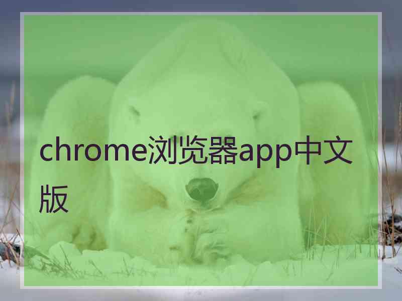 chrome浏览器app中文版