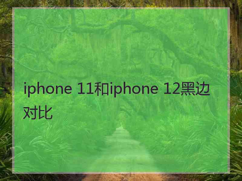 iphone 11和iphone 12黑边对比