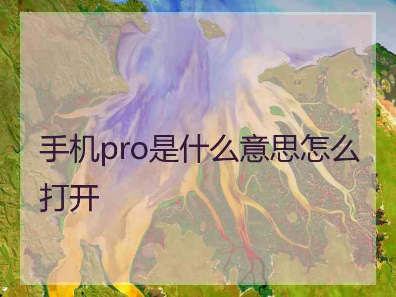 手机pro是什么意思怎么打开