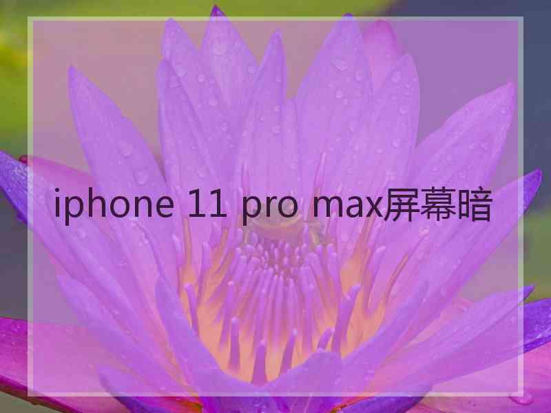 iphone 11 pro max屏幕暗