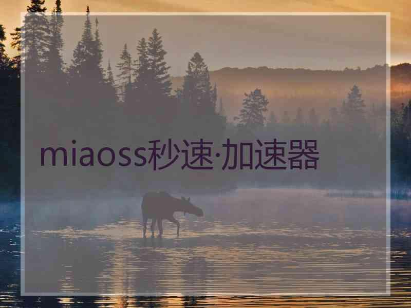 miaoss秒速·加速器