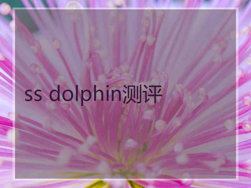 ss dolphin测评