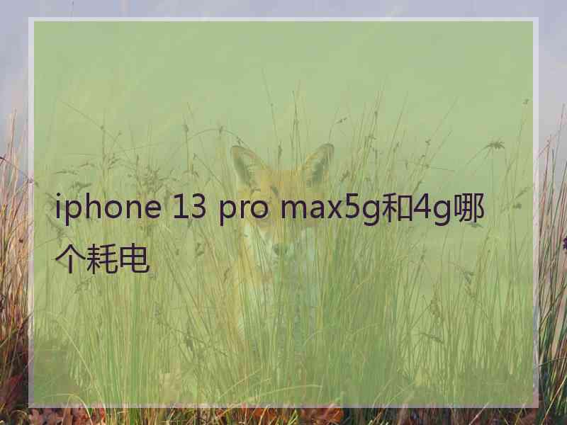 iphone 13 pro max5g和4g哪个耗电