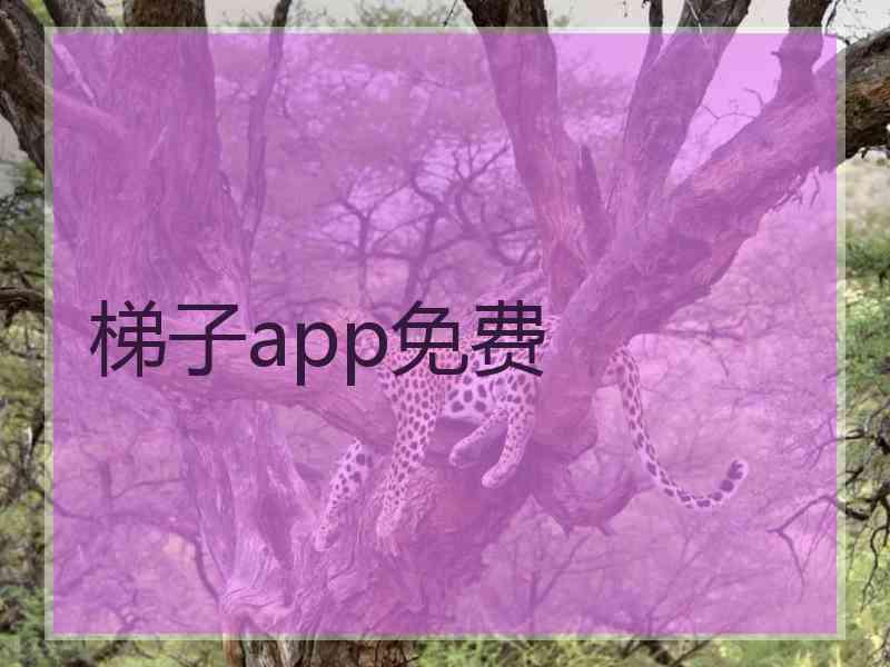 梯子app免费