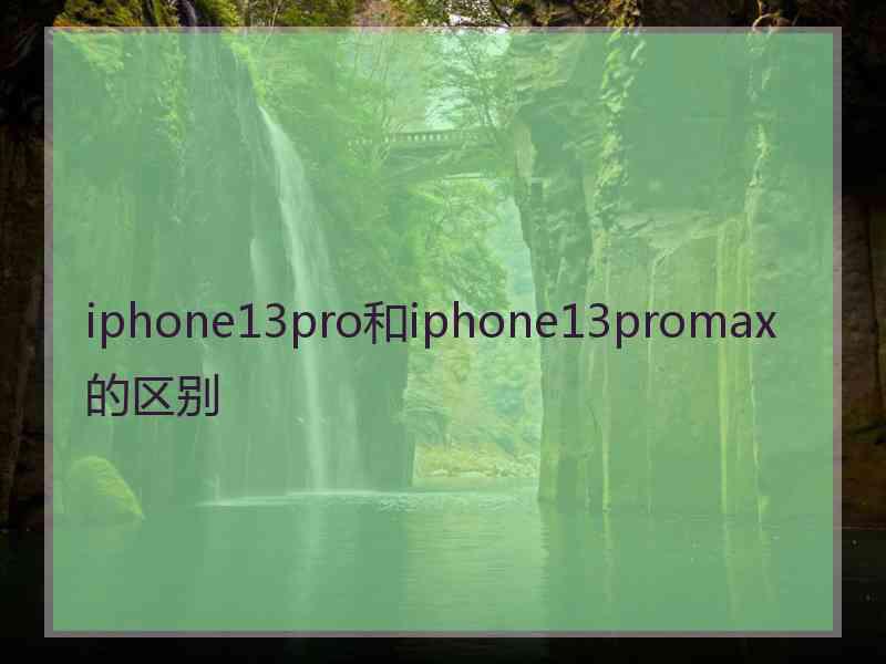 iphone13pro和iphone13promax的区别