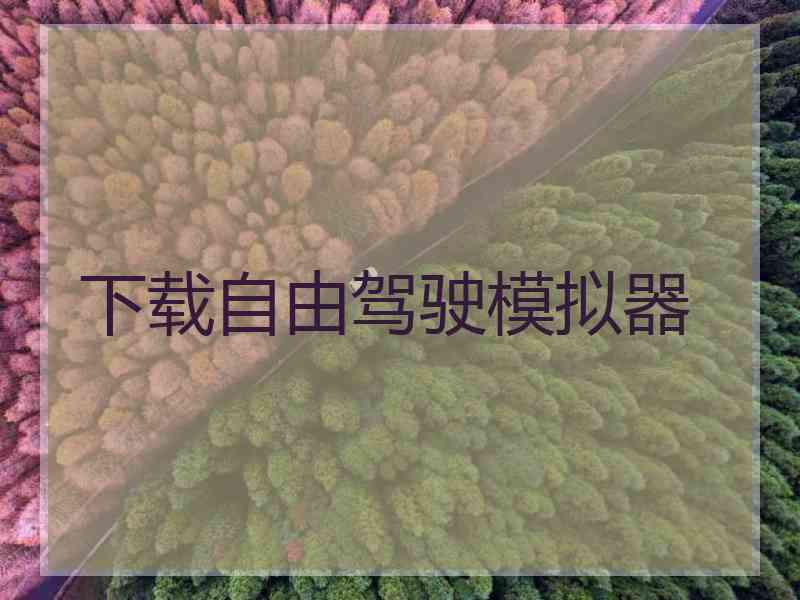 下载自由驾驶模拟器