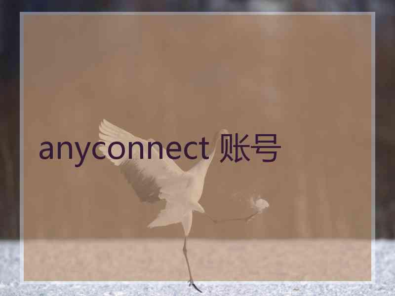 anyconnect 账号