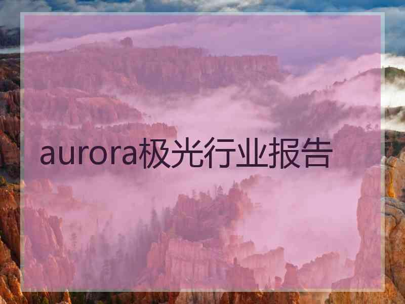 aurora极光行业报告