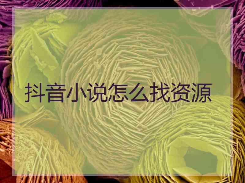 抖音小说怎么找资源