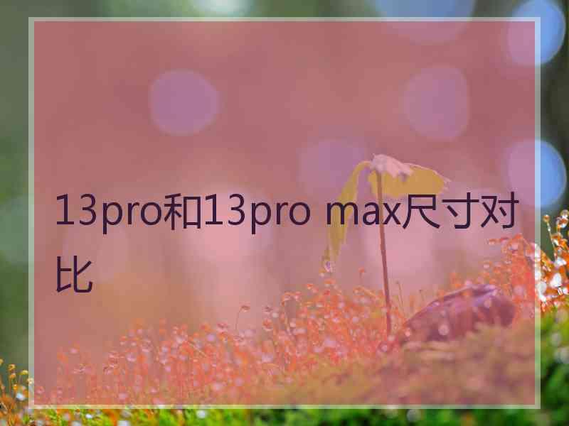 13pro和13pro max尺寸对比