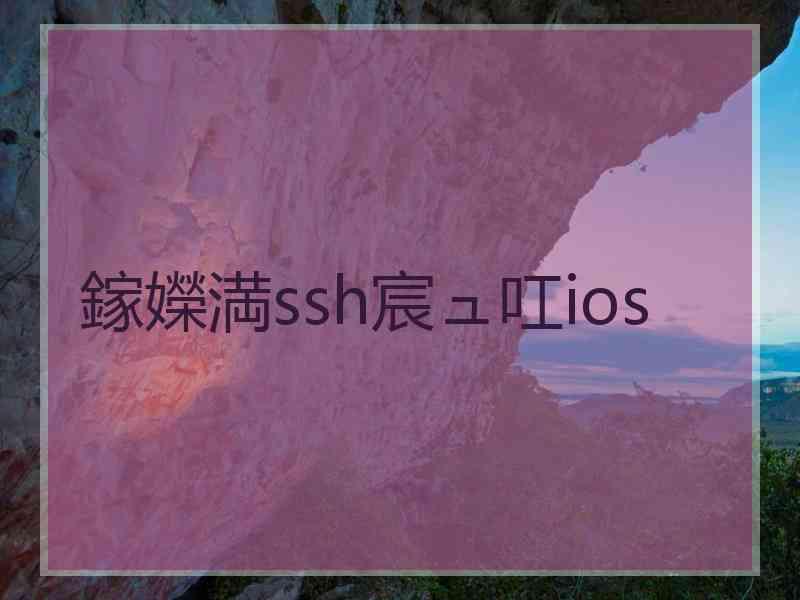 鎵嬫満ssh宸ュ叿ios