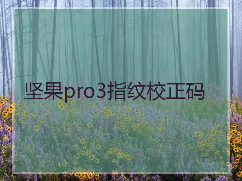 坚果pro3指纹校正码