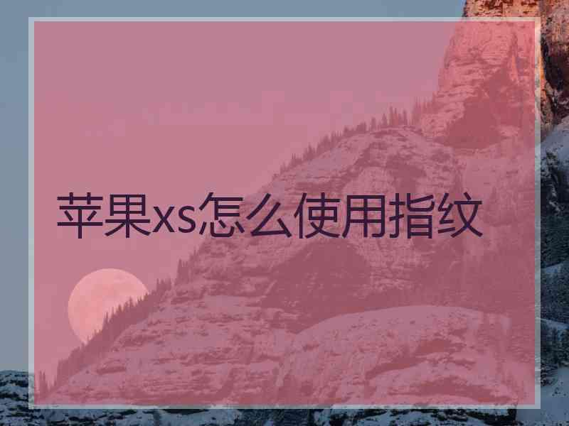 苹果xs怎么使用指纹