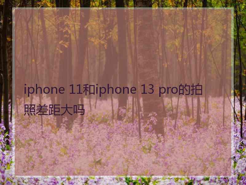 iphone 11和iphone 13 pro的拍照差距大吗