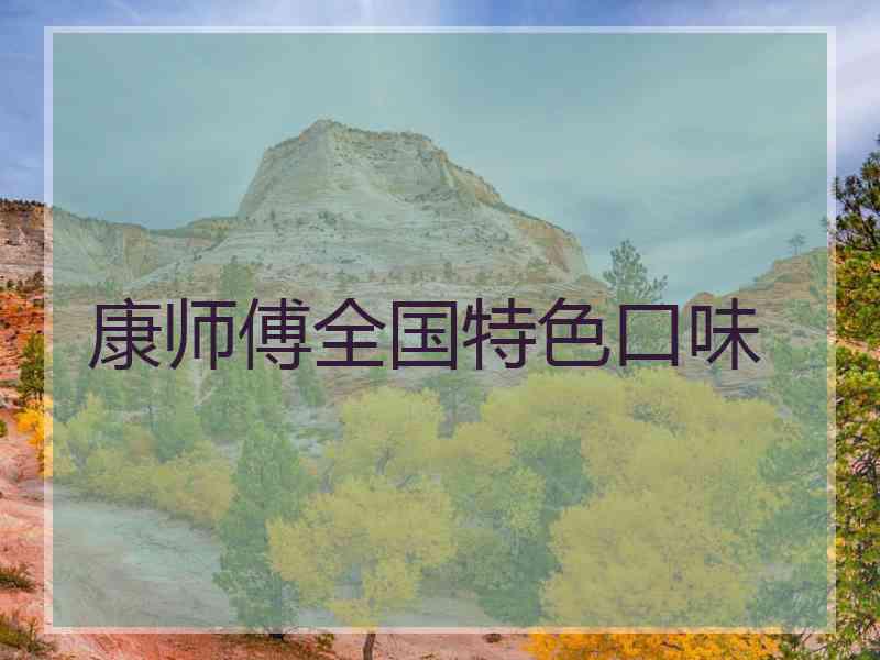 康师傅全国特色口味