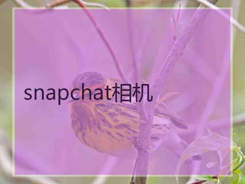 snapchat相机