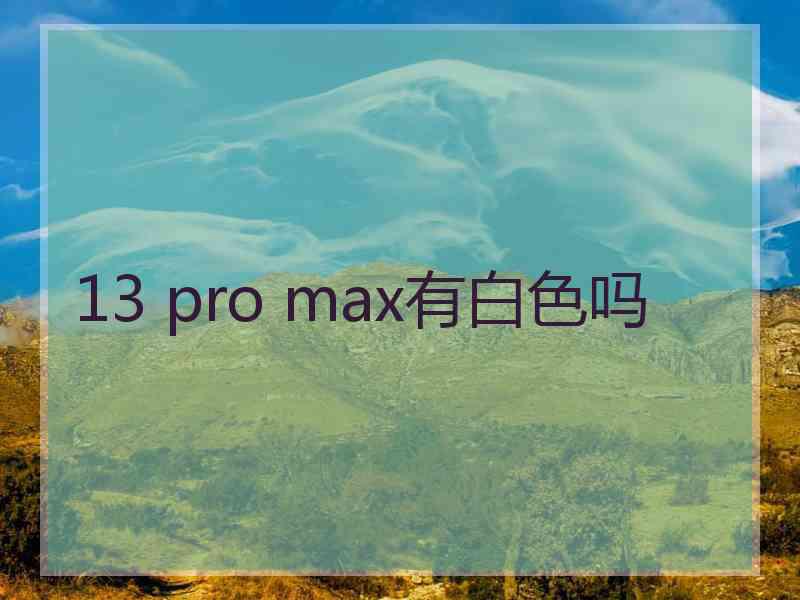 13 pro max有白色吗