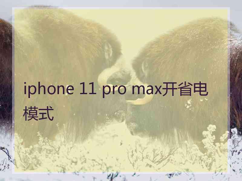 iphone 11 pro max开省电模式