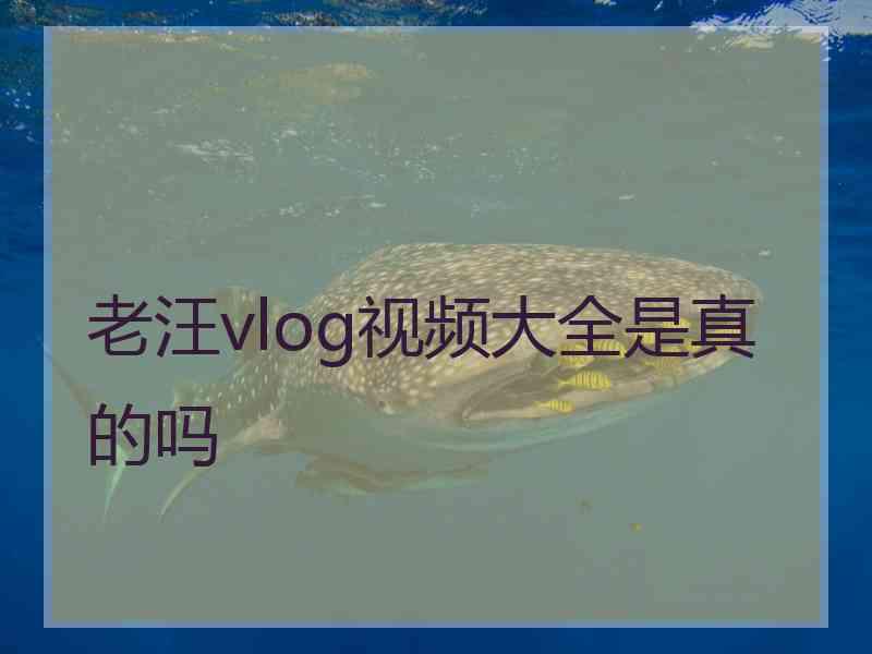 老汪vlog视频大全是真的吗