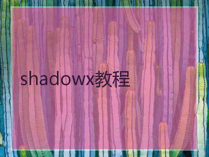 shadowx教程