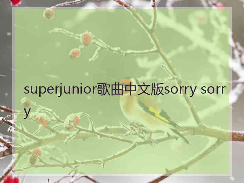 superjunior歌曲中文版sorry sorry