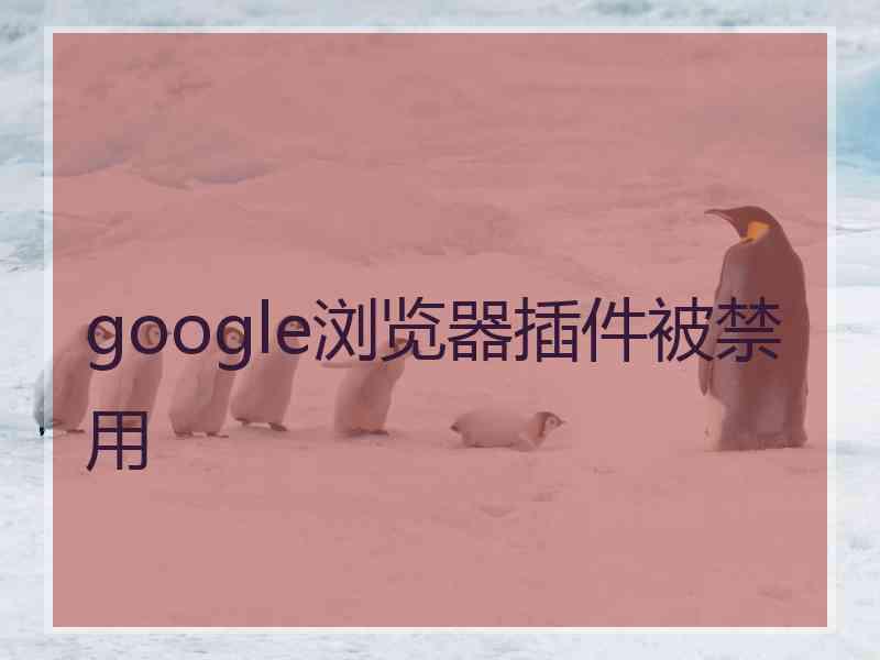 google浏览器插件被禁用