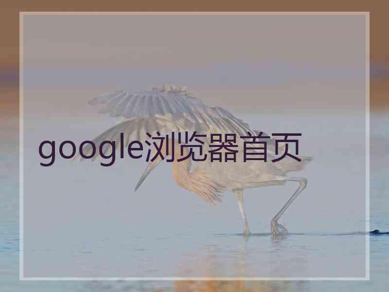 google浏览器首页