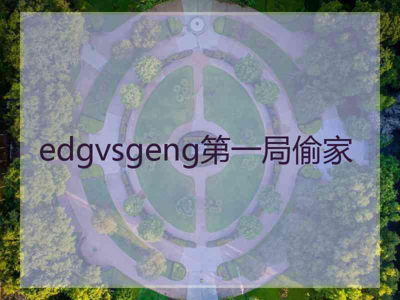 edgvsgeng第一局偷家