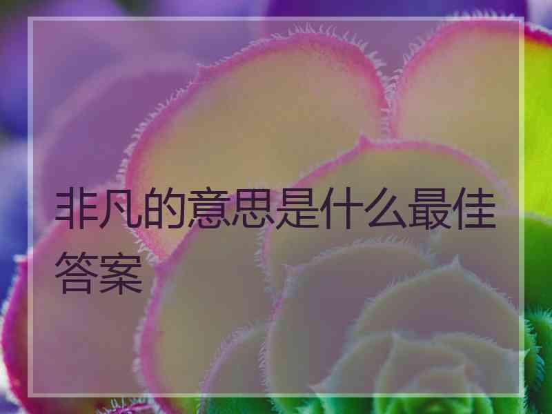 非凡的意思是什么最佳答案